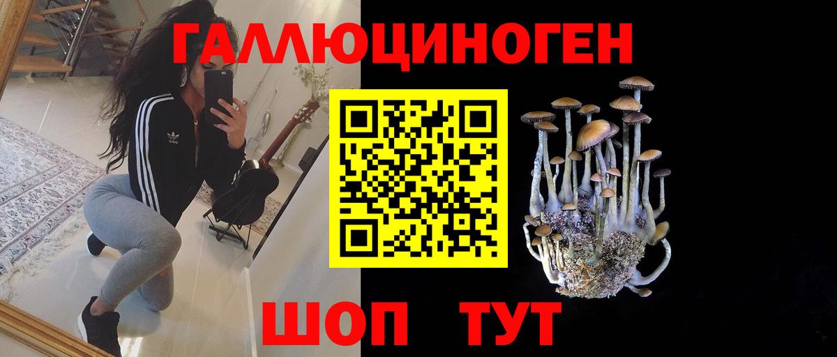Тавда  Псилоцибиновые грибы мухоморы  Вход с VPN 