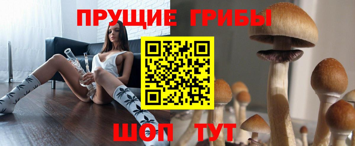 Псилоцибиновые грибы мицелий Тавда